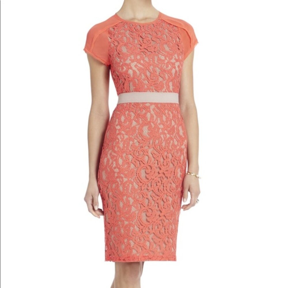 BCBGMAXAZRIA Chara Dress Ambrosia